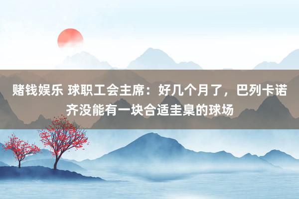 赌钱娱乐 球职工会主席：好几个月了，巴列卡诺齐没能有一块合适圭臬的球场