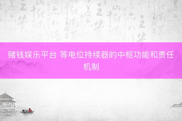 赌钱娱乐平台 等电位持续器的中枢功能和责任机制