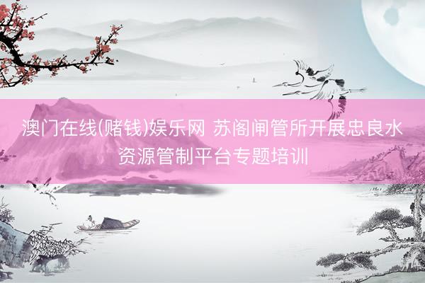 澳门在线(赌钱)娱乐网 苏阁闸管所开展忠良水资源管制平台专题培训