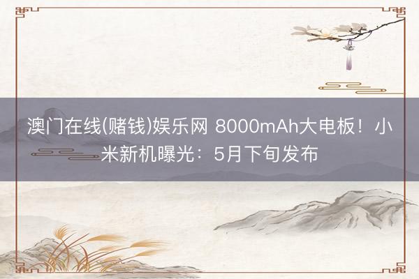 澳门在线(赌钱)娱乐网 8000mAh大电板!小米新机曝光:5月下旬发布