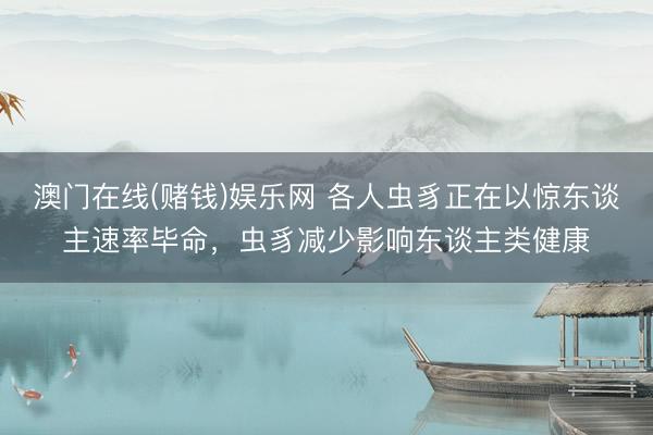 澳门在线(赌钱)娱乐网 各人虫豸正在以惊东谈主速率毕命，虫豸减少影响东谈主类健康