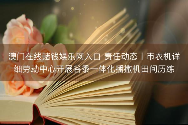 澳门在线赌钱娱乐网入口 责任动态丨市农机详细劳动中心开展谷黍一体化播撒机田间历练