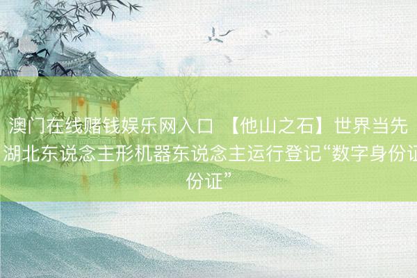 澳门在线赌钱娱乐网入口 【他山之石】世界当先！湖北东说念主形机器东说念主运行登记“数字身份证”