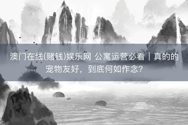 澳门在线(赌钱)娱乐网 公寓运营必看｜真的的宠物友好，到底何如作念？