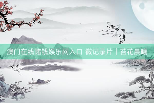 澳门在线赌钱娱乐网入口 微记录片｜苔花晨曦