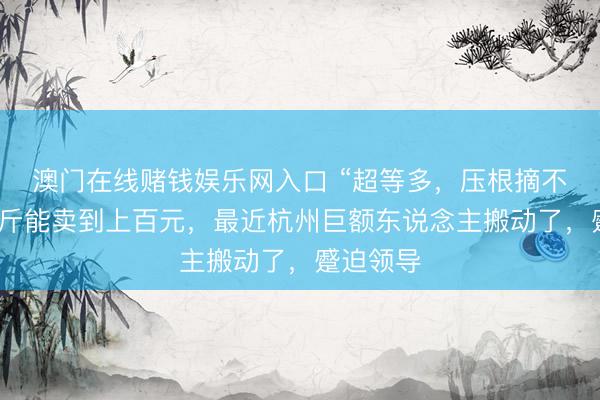 澳门在线赌钱娱乐网入口 “超等多，压根摘不完！”一斤能卖到上百元，最近杭州巨额东说念主搬动了，蹙迫领导