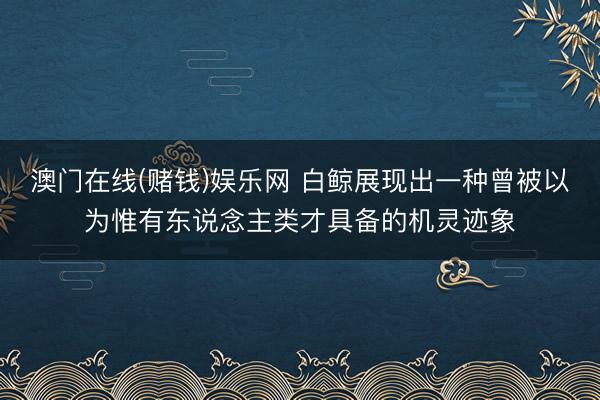 澳门在线(赌钱)娱乐网 白鲸展现出一种曾被以为惟有东说念主类才具备的机灵迹象