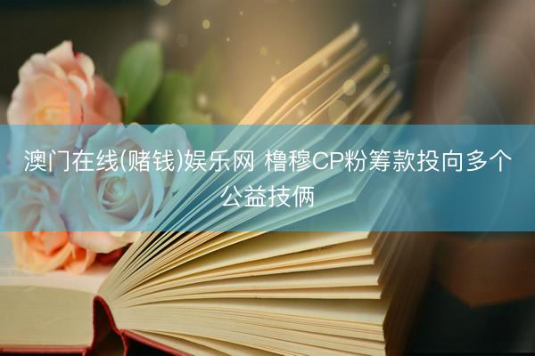 澳门在线(赌钱)娱乐网 橹穆CP粉筹款投向多个公益技俩