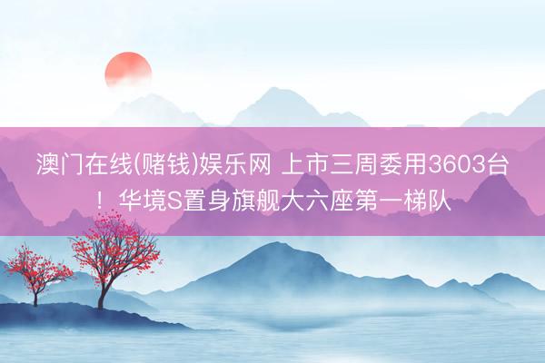 澳门在线(赌钱)娱乐网 上市三周委用3603台！华境S置身旗舰大六座第一梯队