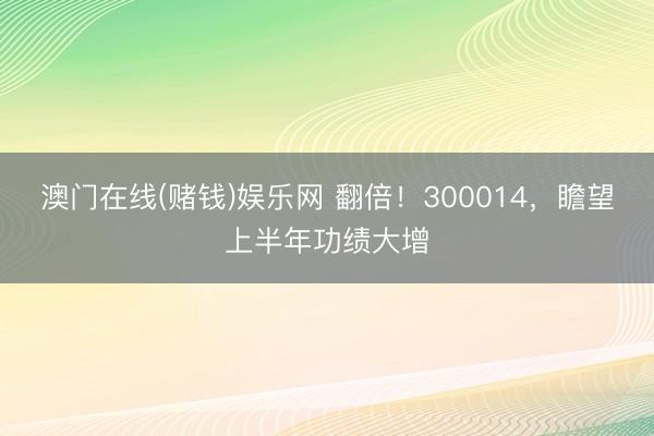 澳门在线(赌钱)娱乐网 翻倍！300014，瞻望上半年功绩大增