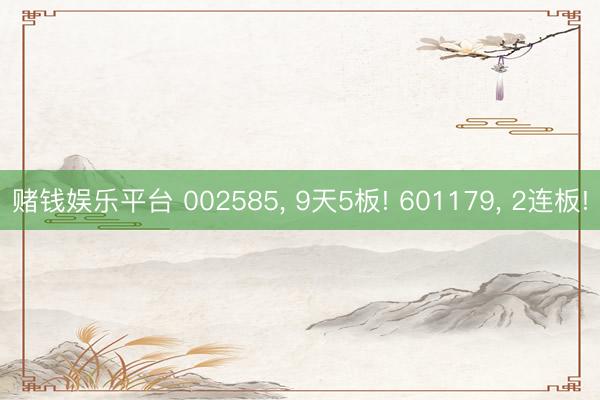 赌钱娱乐平台 002585， 9天5板! 601179， 2连板!