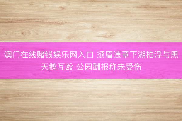 澳门在线赌钱娱乐网入口 须眉违章下湖拍浮与黑天鹅互殴 公园酬报称未受伤