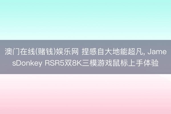 澳门在线(赌钱)娱乐网 捏感自大地能超凡， JamesDonkey RSR5双8K三模游戏鼠标上手体验