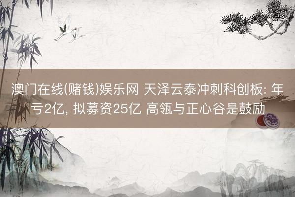 澳门在线(赌钱)娱乐网 天泽云泰冲刺科创板: 年亏2亿， 拟募资25亿 高瓴与正心谷是鼓励